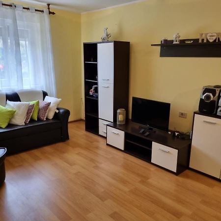 Apartment Sanja Pazin Bagian luar foto