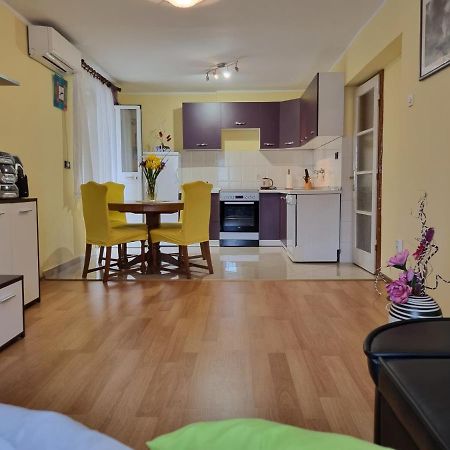 Apartment Sanja Pazin Bagian luar foto