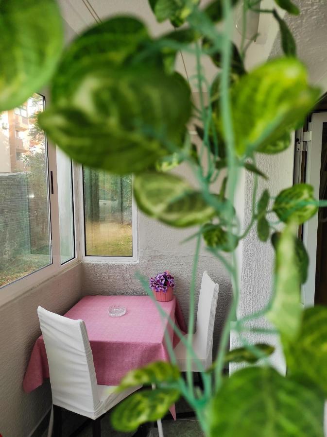 Apartment Sanja Pazin Bagian luar foto