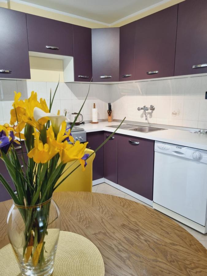 Apartment Sanja Pazin Bagian luar foto